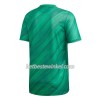 Noord-Ierland Voetbalshirts Thuis EK 2020